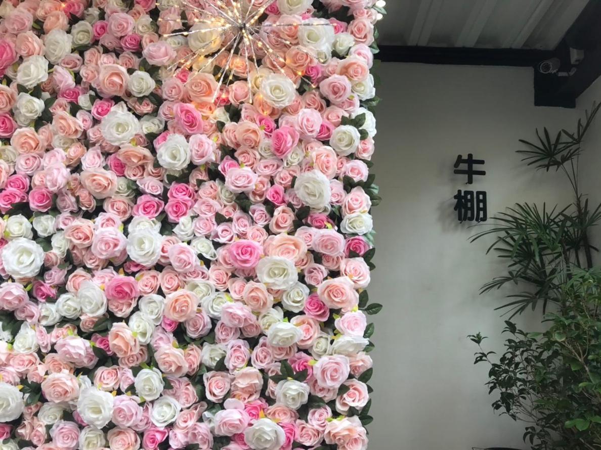 Donghai Cottage Backpack Inn Suite Longjing Exterior photo